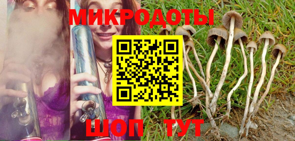 Галлюциногенные грибы MAGIC MUSHROOMS Салехард
