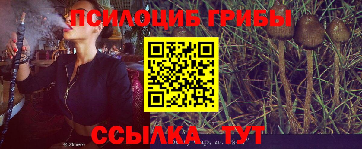 Салехард  Псилоцибиновые грибы мицелий  Вход с VPN 